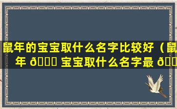 鼠年的宝宝取什么名字比较好（鼠年 🐝 宝宝取什么名字最 🐟 适合最好呢）